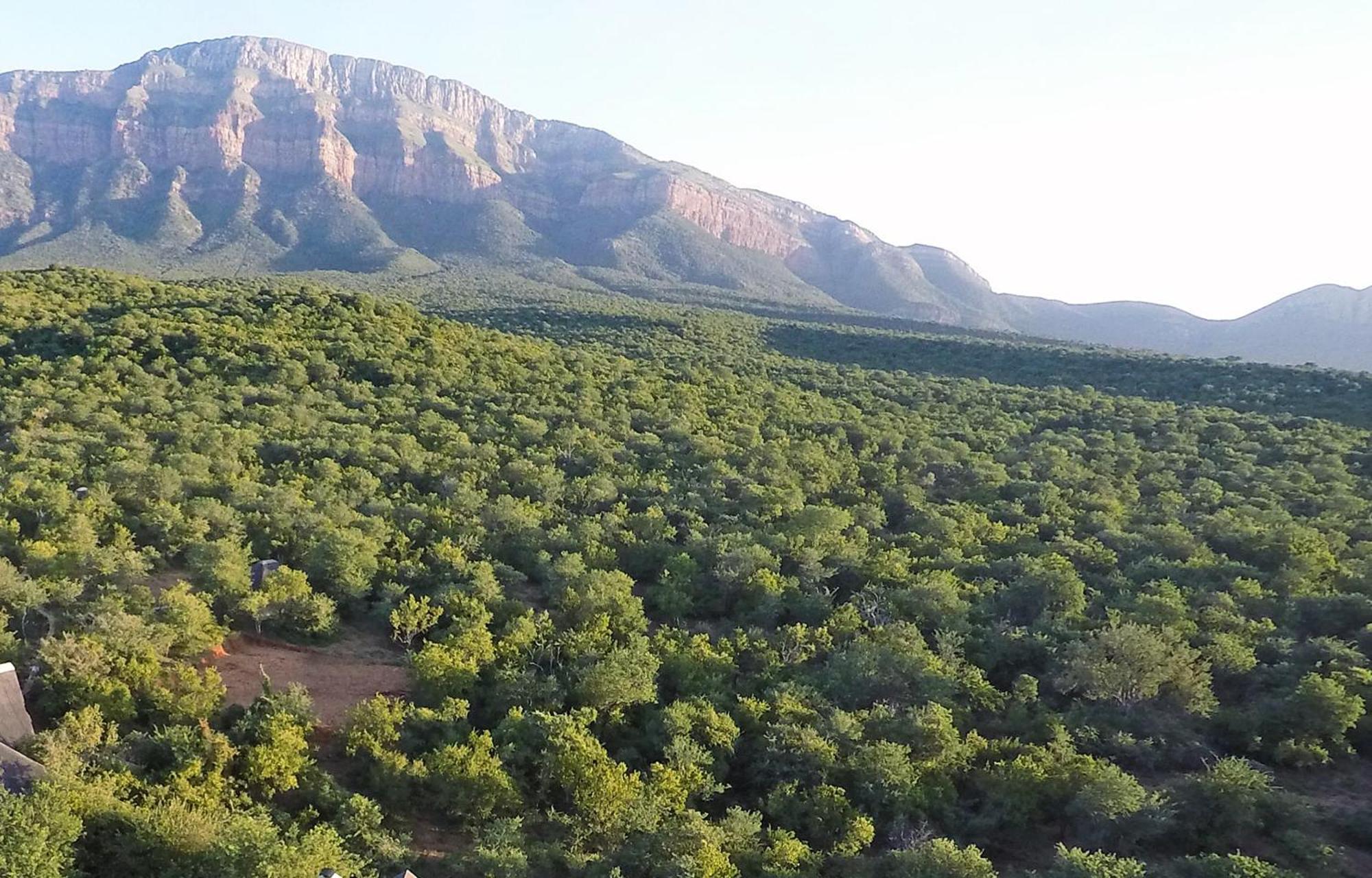 Shikwari Nature Reserve Hoedspruit Εξωτερικό φωτογραφία